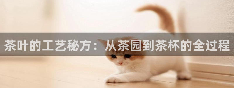 星欧娱乐注册要多少钱