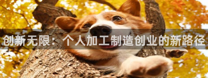 星欧娱乐文化无锡