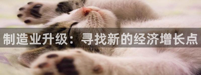 星欧娱乐下载官网