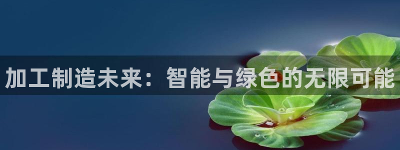 欧星娱乐的盘口