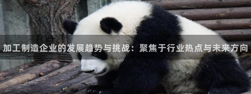 娱乐星天地马思纯欧豪