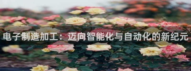 星欧娱乐官网