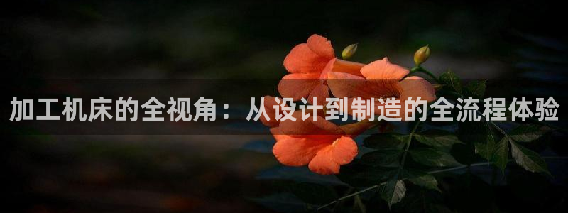 星欧娱乐2024
