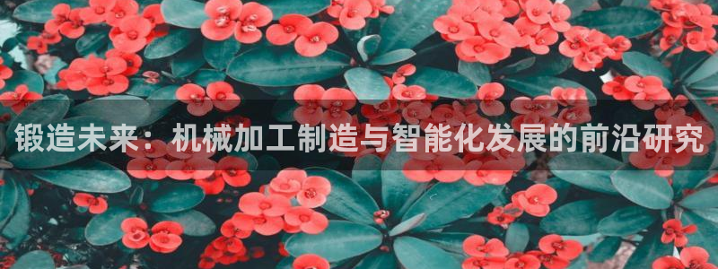 星辉娱乐西班牙人欧联
