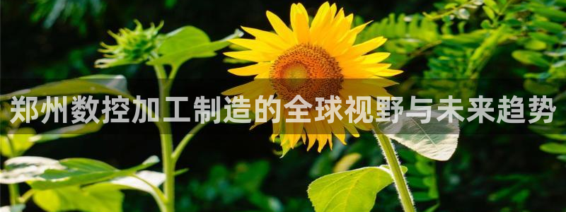 欧星娱乐网址无脑赚