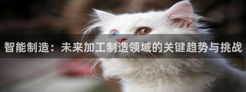 星欧娱乐app登录入口