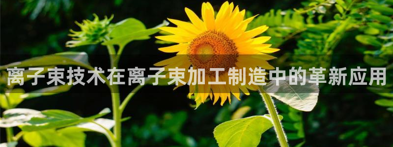 欧星娱乐下载
