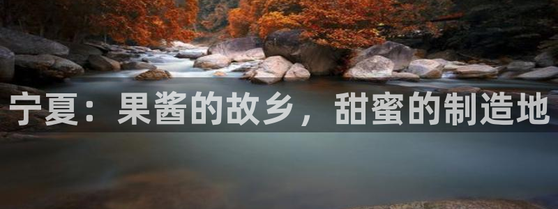 星辉娱乐进入欧联杯