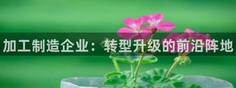 欧星娱乐主播