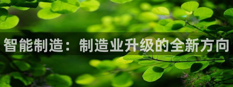 星娱乐online欧弟