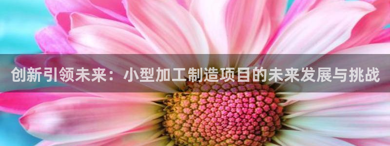 欧米星创文化娱乐