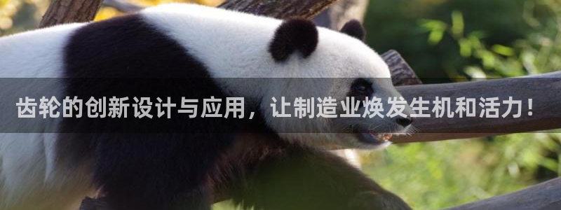 星欧平台娱乐注册的方式