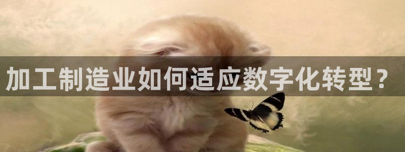 七星娱乐欧包