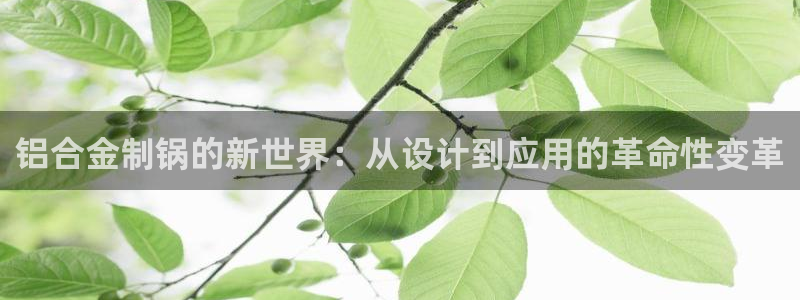 星欧娱乐平台测速线路