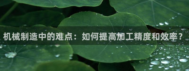 星辉娱乐进入欧联杯了吗