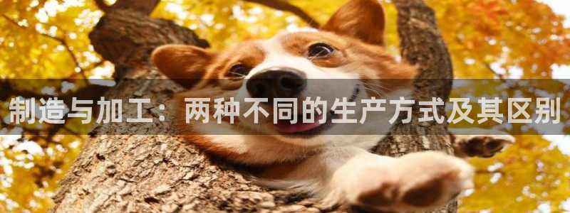 星欧娱乐官网登录入口