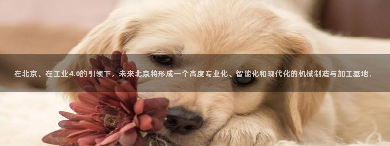 欧星娱乐网址无脑赚