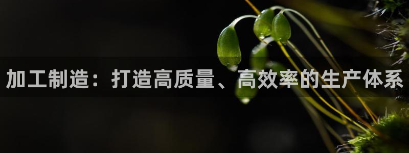 热星娱乐欧豪是谁