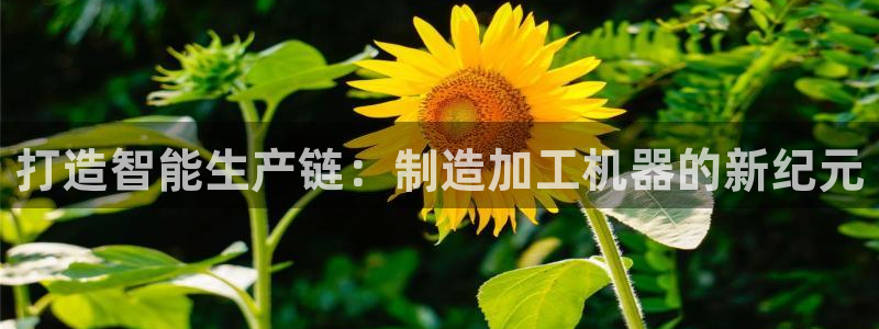 星欧娱乐最新优惠活动