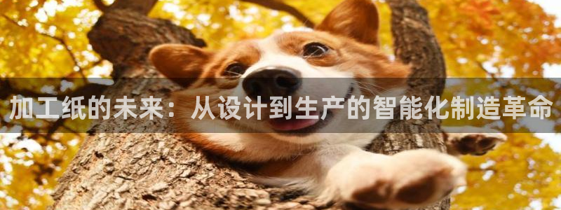 星辉娱乐进入欧联杯了吗