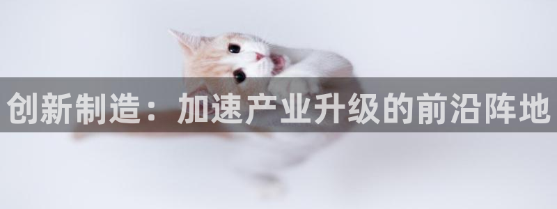 娱乐星天地马思纯欧豪
