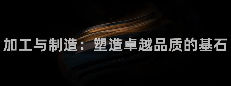 星欧娱乐公司老板背景