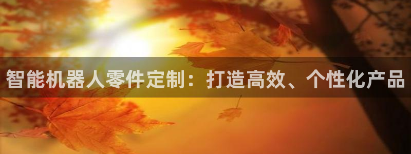 欧星娱乐的活动