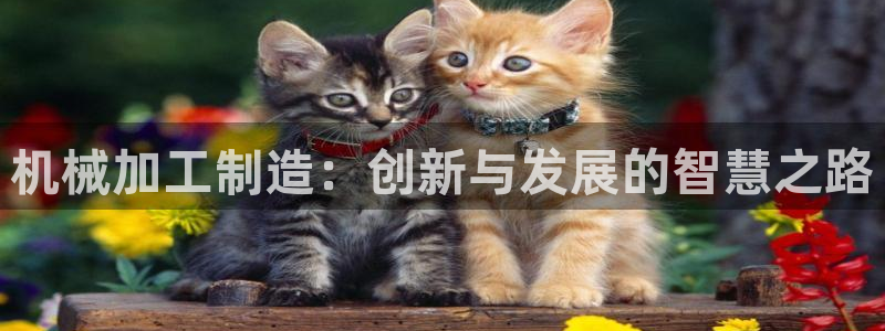星欧娱乐平台注册入口