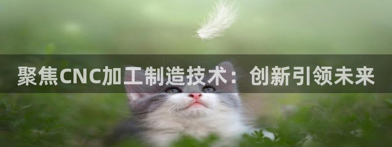 星欧娱乐客服联系方式