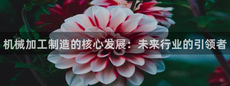 欧赫娱乐 超级星学院
