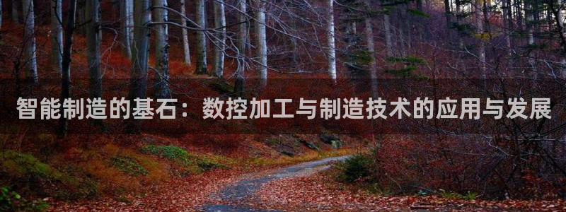 欧星娱乐是做什么的