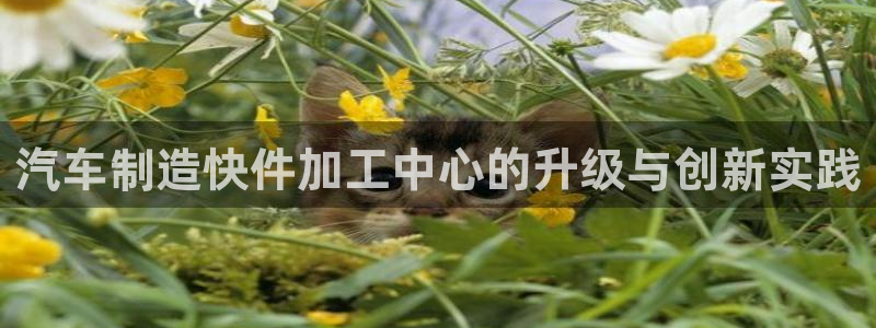星欧娱乐登陆