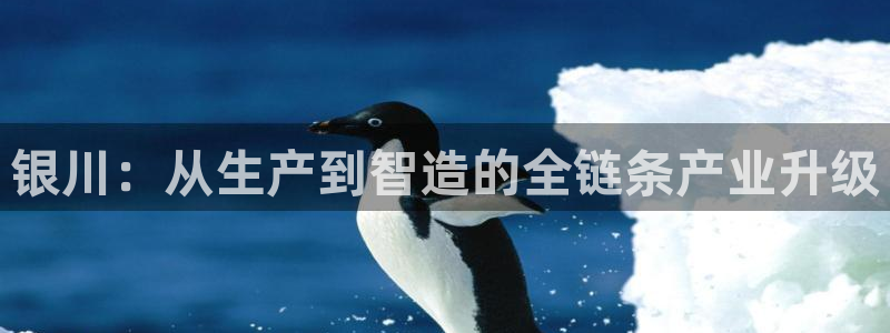 星娱乐online欧弟