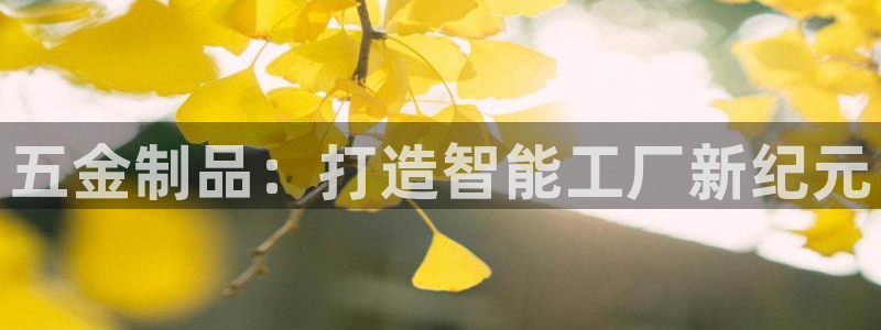 星欧娱乐负责人