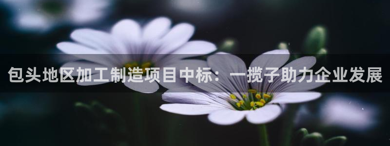星饭娱乐欧豪是谁