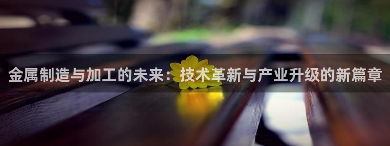 欧乐星城有没有娱乐设施