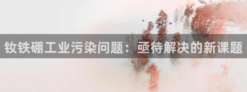 星辉娱乐进入欧联杯