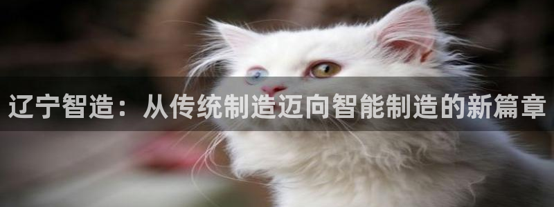 欧星娱乐彩票