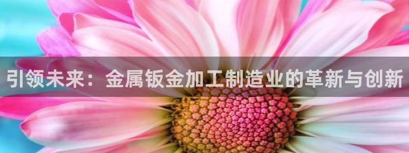 欧星娱乐公司