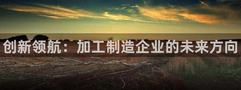 星欧娱乐平台主管