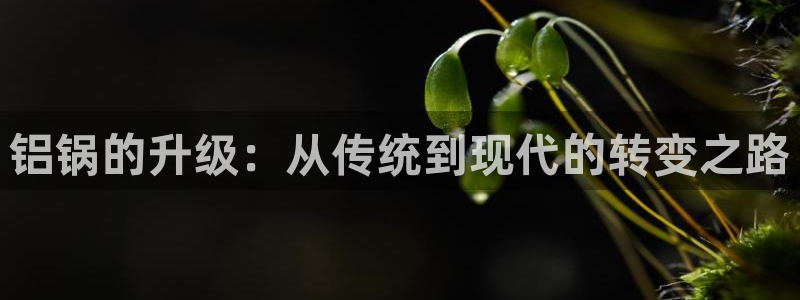 星辉娱乐欧联杯转播