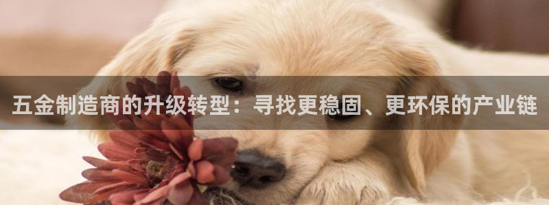 星欧娱乐人工客服电话