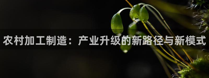 欧星娱乐是做什么的