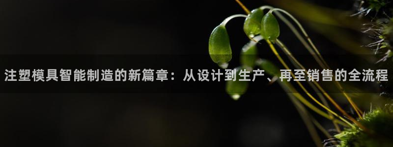 小西门欧乐星城娱乐项目