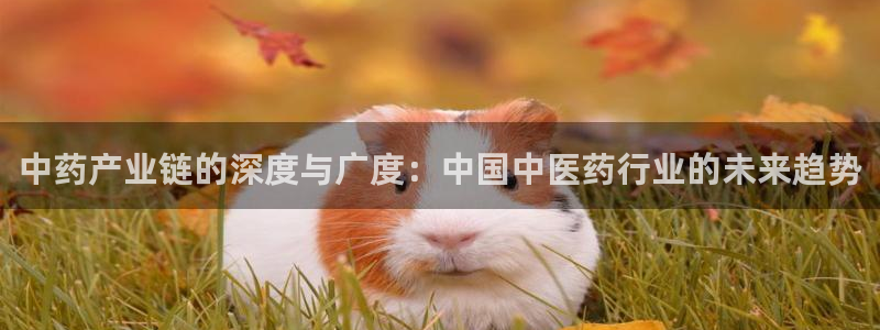 星欧娱乐银行卡怎么登录