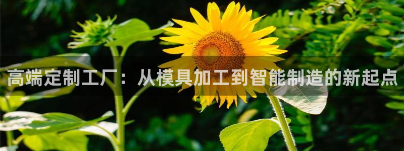 欧星老虎机娱乐