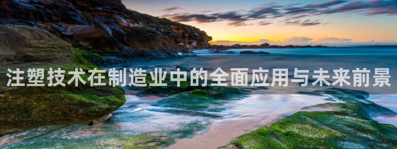 世欧星途娱乐