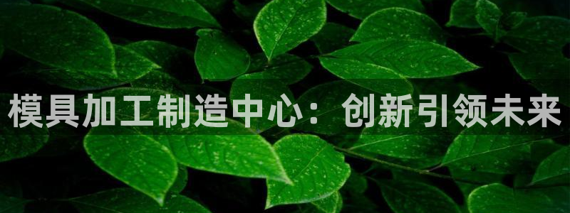 星欧娱乐最新动态消息
