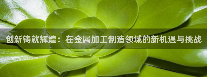 金欧岗星熠娱乐