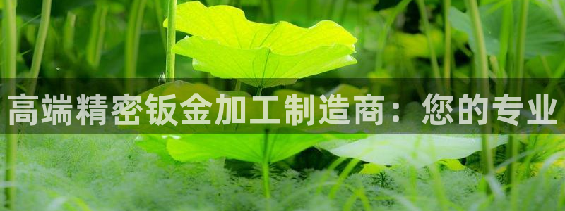 欧星娱乐08